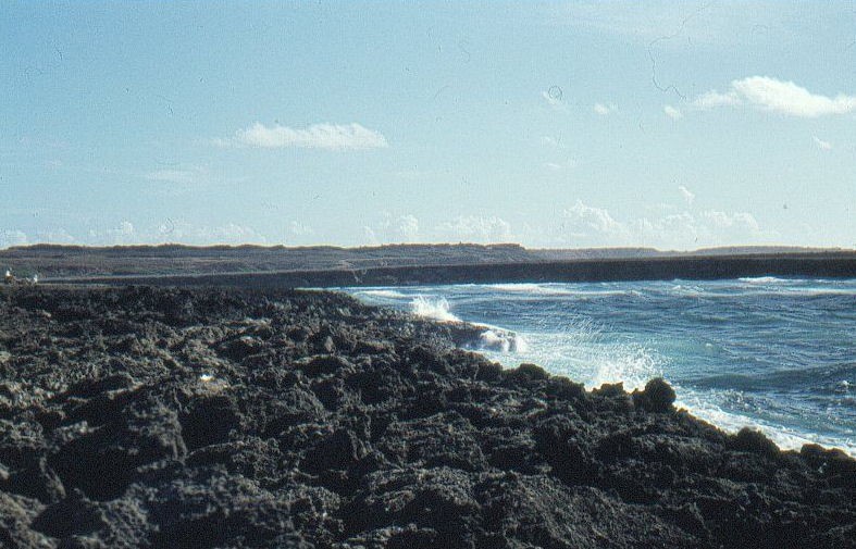 NoordkustStJorisbaai3