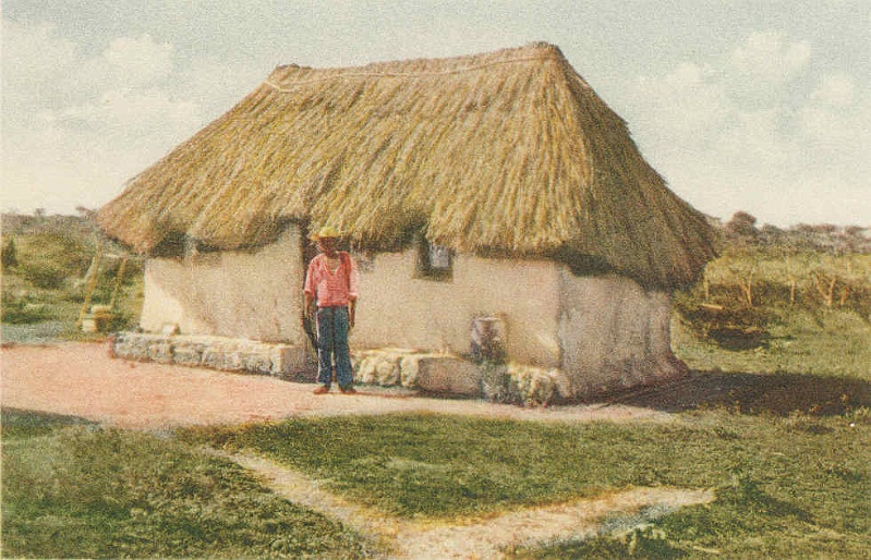 Afbeelding04
