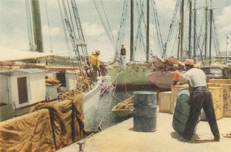 Afbeelding07